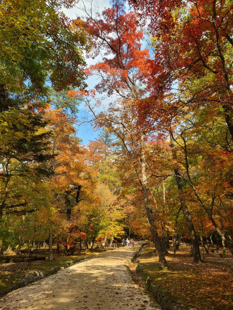  [경제 금융 용어 700선](651-660)할당관세제도,합계출산율,헤지펀드,현금자동인출기공동망,현시비교우위지수,현지금융,현지법인,혼합형결제시스템,홀로그램,화폐교환
