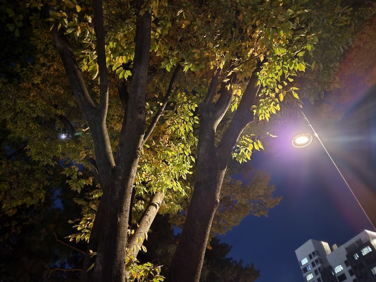  상품의 허위, 과장광고가 사기죄의 기망행위에 해당하는 경우