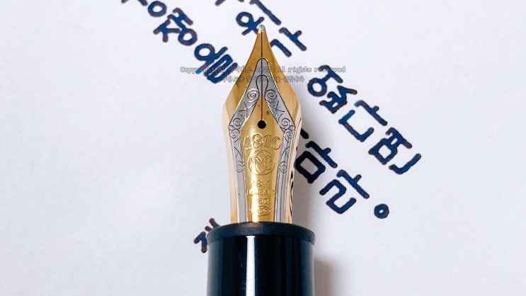  가 없다면 경쟁을 하지 마라 (ft. 몽블랑 149 M닙, 세일러 프로기어 슬림 14K EF닙 만년필 실제 사용 영상)