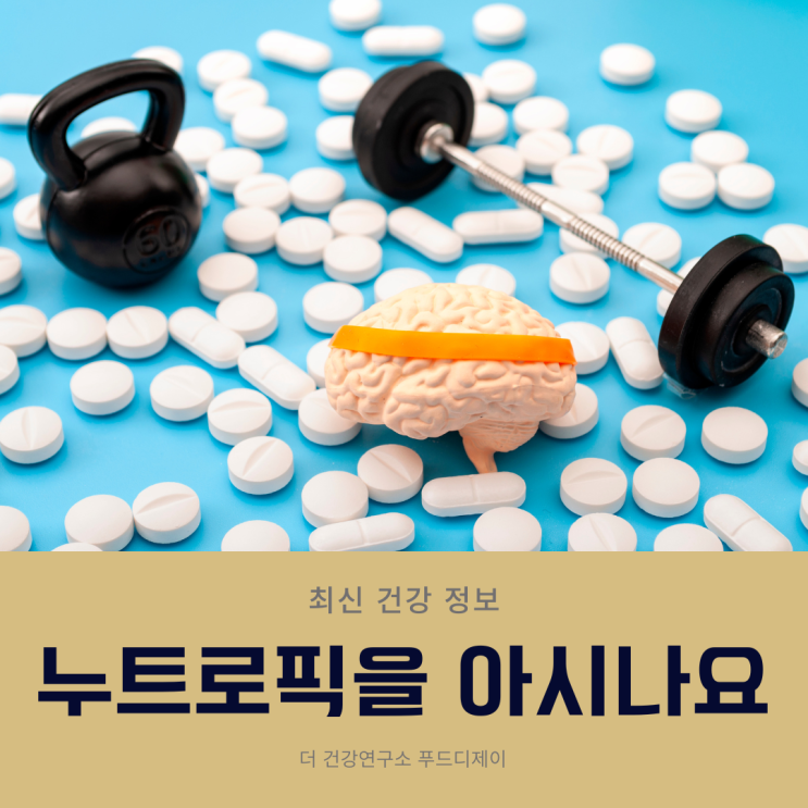 인지능력을 향상시키는 누트로픽(Nootropic)? 누트로픽 영양제는 무엇?