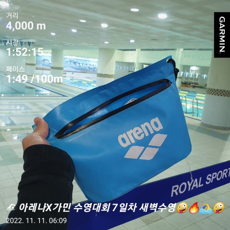 [수영일기] 아레나X가민 수영대회 7일차
