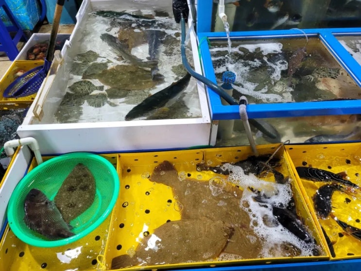  동해여행 중 싱싱ㆍ신선ㆍ넉넉한 회가 생각난다면, 주문진항 수산물 좌판 풍물시장