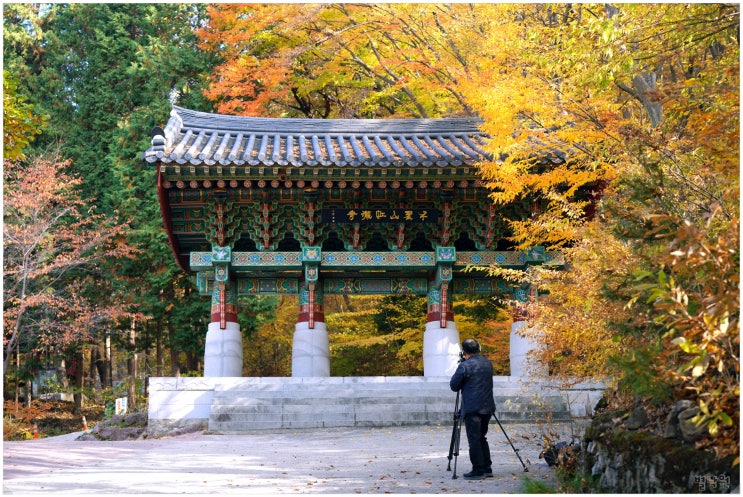  홍룡사, 내원사_ 양산 여행 2일차 가을 가볼만한 천성산 사찰들