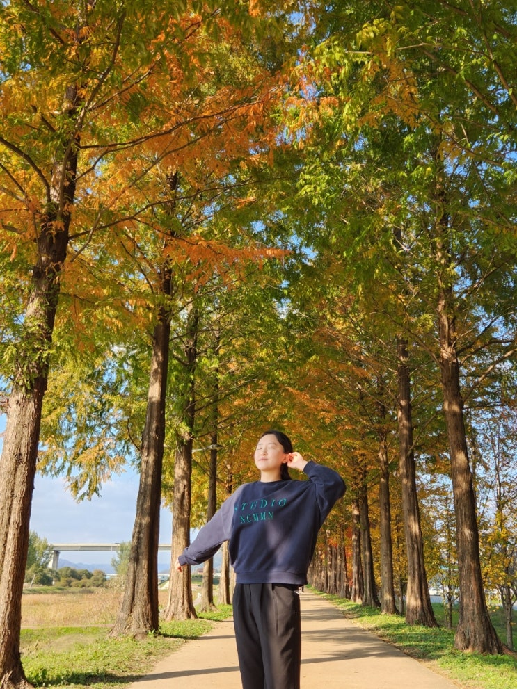  가을 여행지 공주 가볼 만한 곳! 공산성, 메타세콰이어길, 베이커리 밤마을