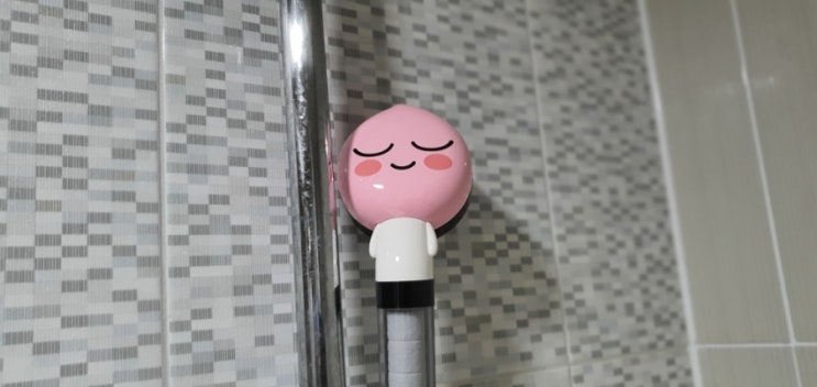  수전 샤워호스 욕실 코너선반 교체 / 왕십리 센트라스 / 파란몽키 출장집수리