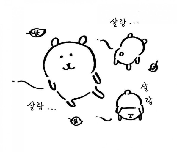11월 7일 ~ 11일 운동 기록 11월 7일 ~ 11일 운동 기록