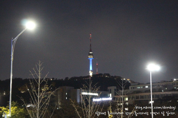  2022년 11월 첫째 주 이야기(10.31 ~ 11.6) - 주간일기 챌린지