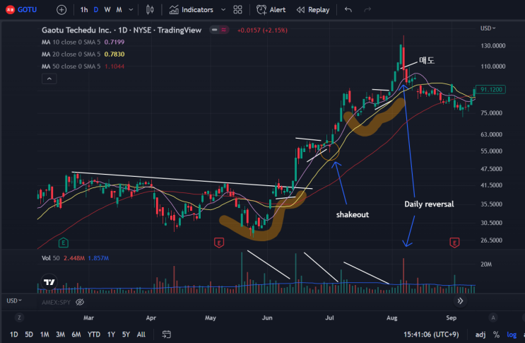  CWH, VCP, Shakeout, Daily reversal 한 차트에