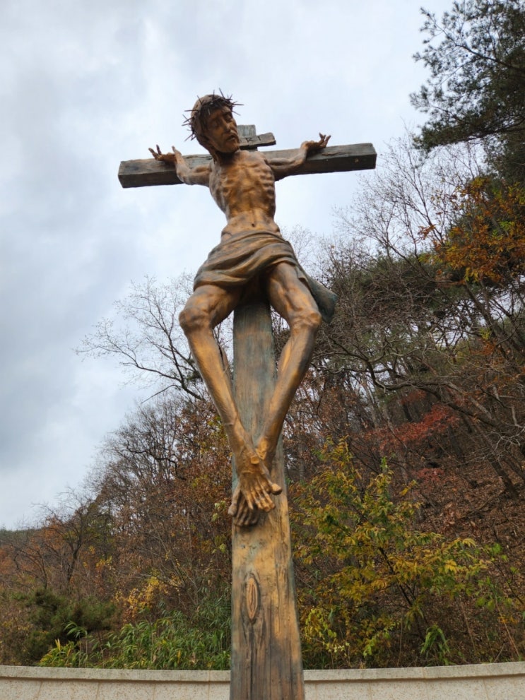 수리치골성모성지 <b>미리내 성모성심수녀회</b> 총원 성당... 