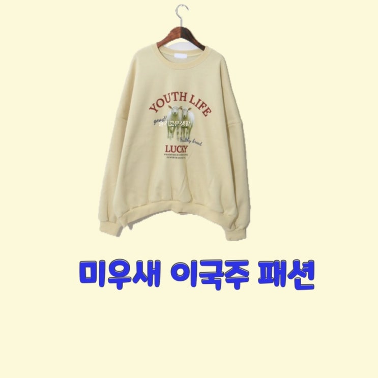  이국주 미운우리새끼 317회 맨투맨 티셔츠Youth life 옷 패션