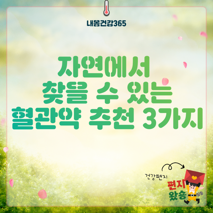  자연에서 찾을 수 있는 혈관약 추천 3가지