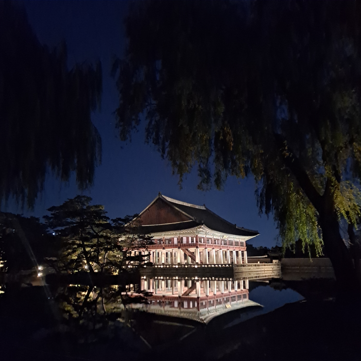  경복궁 댕겨옴(11.5)