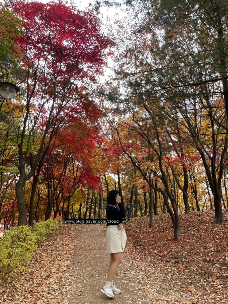 [CLOUDiary] 11월 셋째주