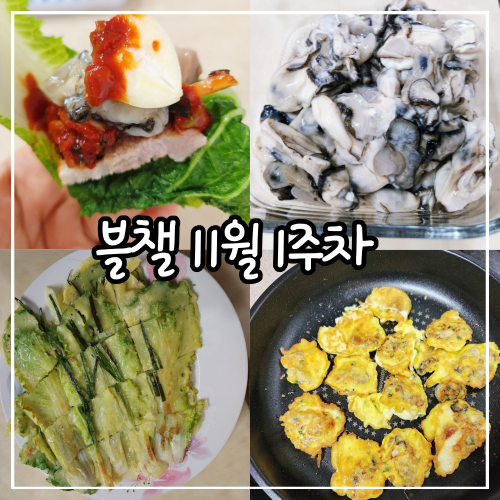  [블챌] 11월 1주차 주간일기 챌린지 (11/7~11/13) 김장하고 메가쇼