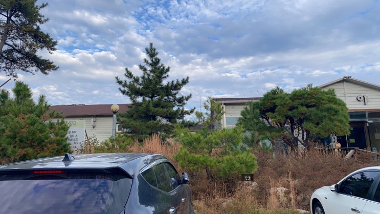  울산 뜨끈한 숯가마 / 백야참숯가마