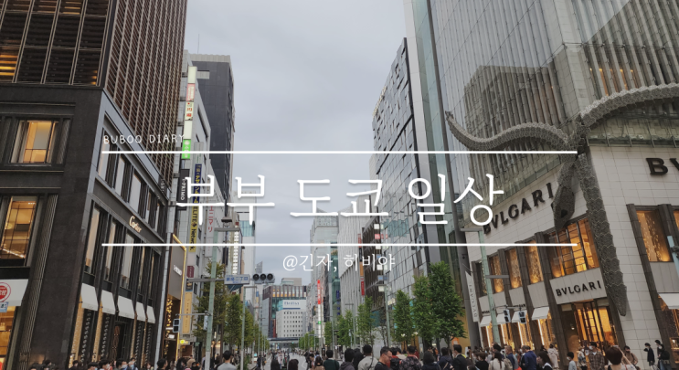  영희부부 일상#9 2022.11.13 일요일 - 긴자에서 스페인 요리 & 연말 파티 드레스와 구두를 찾아서(디올, 다이아나, 발렌티노, 지미추, 샤넬)