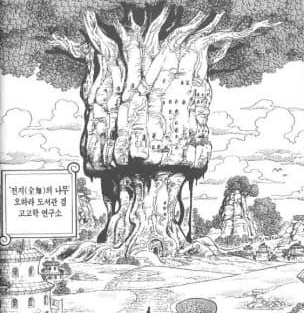원피스 연구 분석 거인족의 섬 엘바프와 오하라의 전지의 나무에 대해서 원피스 연구 분석 거인족의 섬 엘바프와 오하라의 전지의 나무에 대해서