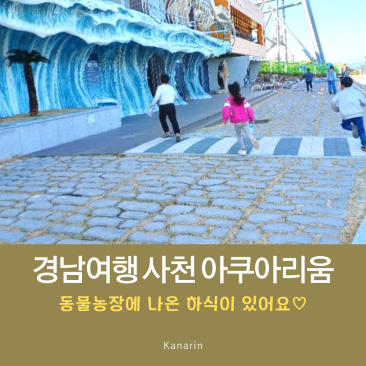  경남 여행지 추천 사천 아라마루 아쿠아리움 동물농장 하식이 봐요^^