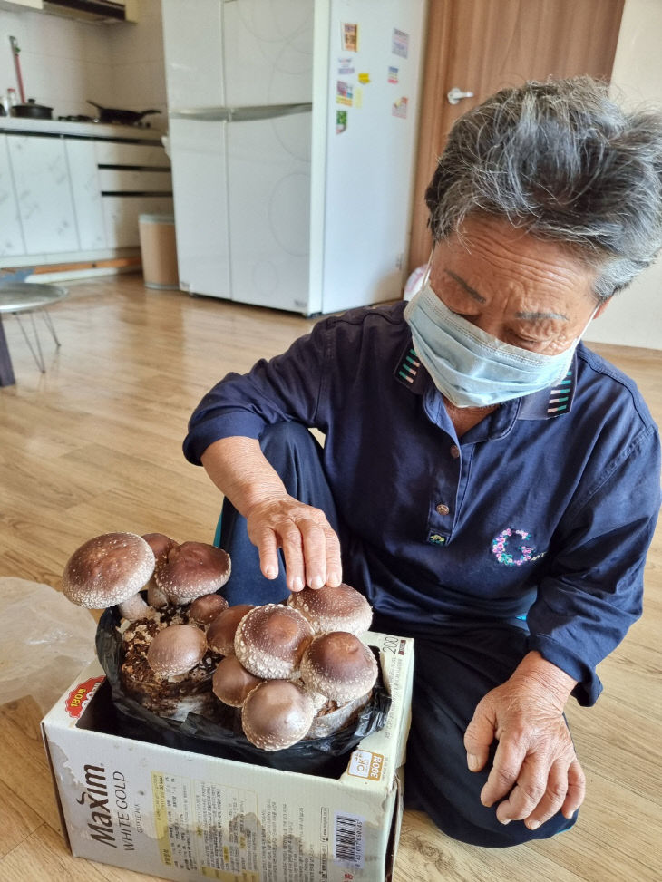 괴산 노인 맞춤형 돌봄 서비스 큰 호응 괴산 노인 맞춤형 돌봄 서비스 큰 호응