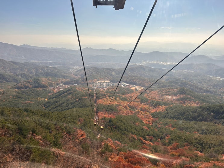  대구 주말 나들이로 가볼 만한 대표 관광지 '팔공산 케이블카', 식당(플라잉 팔공) 정보부터 이용료, 주차장, 운행시간, 여행 꿀팁까지 한가득~