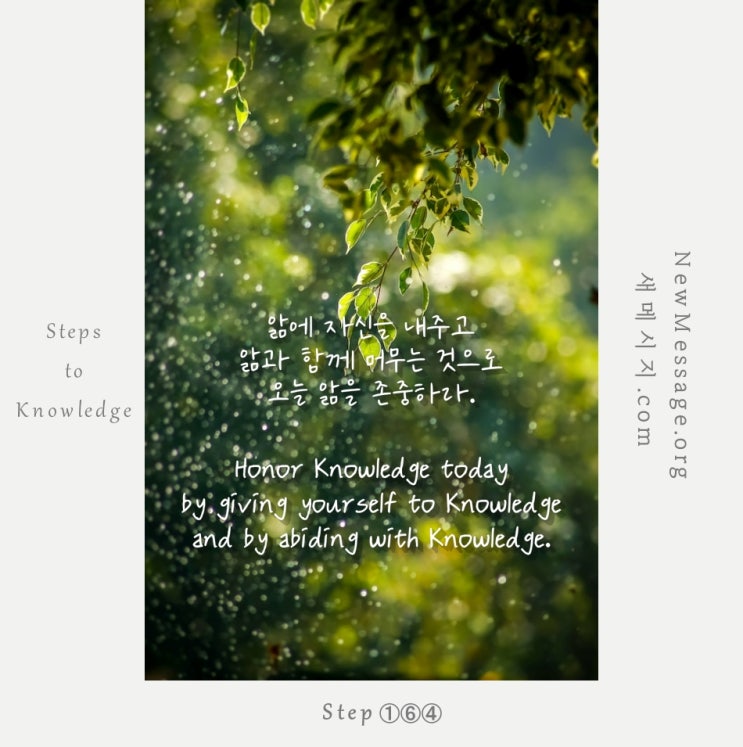 제 164 계단: 오늘 나는 내가 아는 것을 존중할 것이다 Today I will honor what I know. 제 164 계단: 오늘 나는 내가 아는 것을 존중할 것이다 Today I will honor what I know.