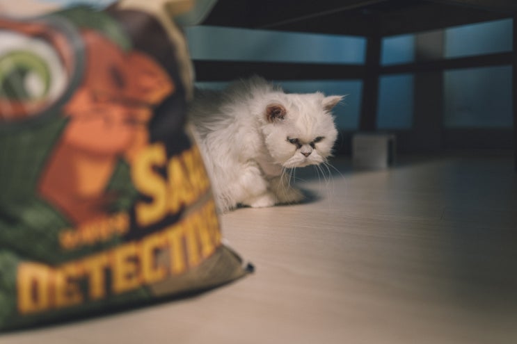 메그펫츠 샌드디텍티브 모래탐정 고양이모래 후기