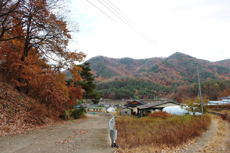 횟골 사진 3