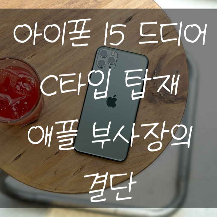  아이폰15 유출 정리 드디어 C타입 가능?