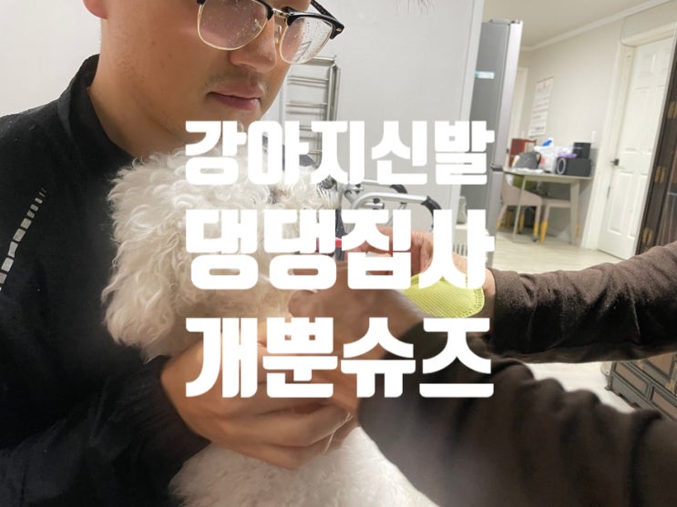  댕댕집사 개뿐슈즈 강아지신발 신고 산책해봐요