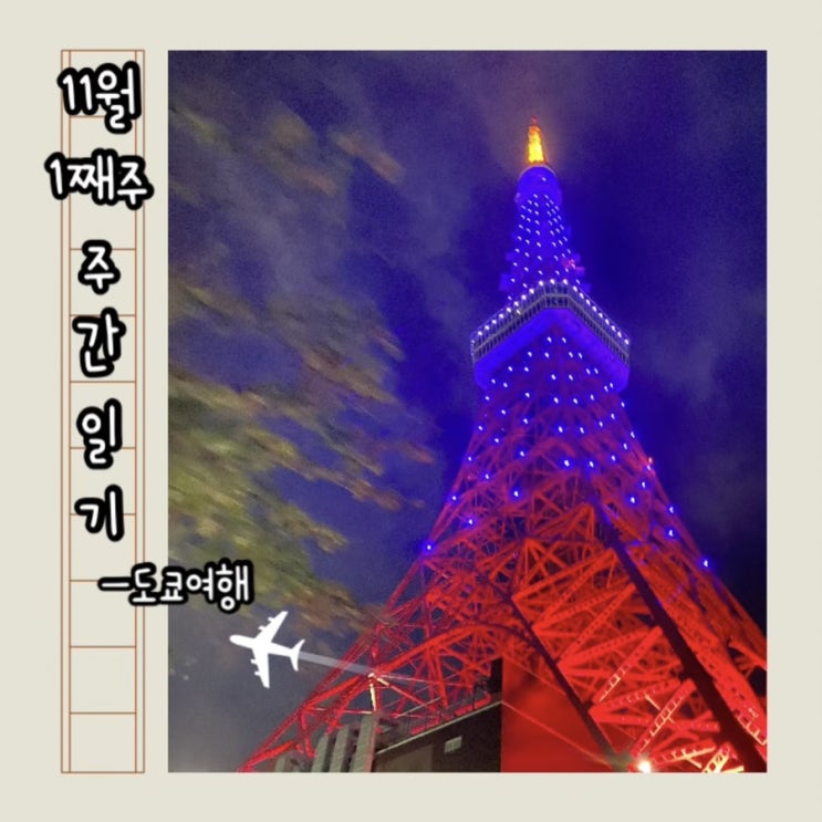  11월 1째주 주간일기 - 도쿄여행
