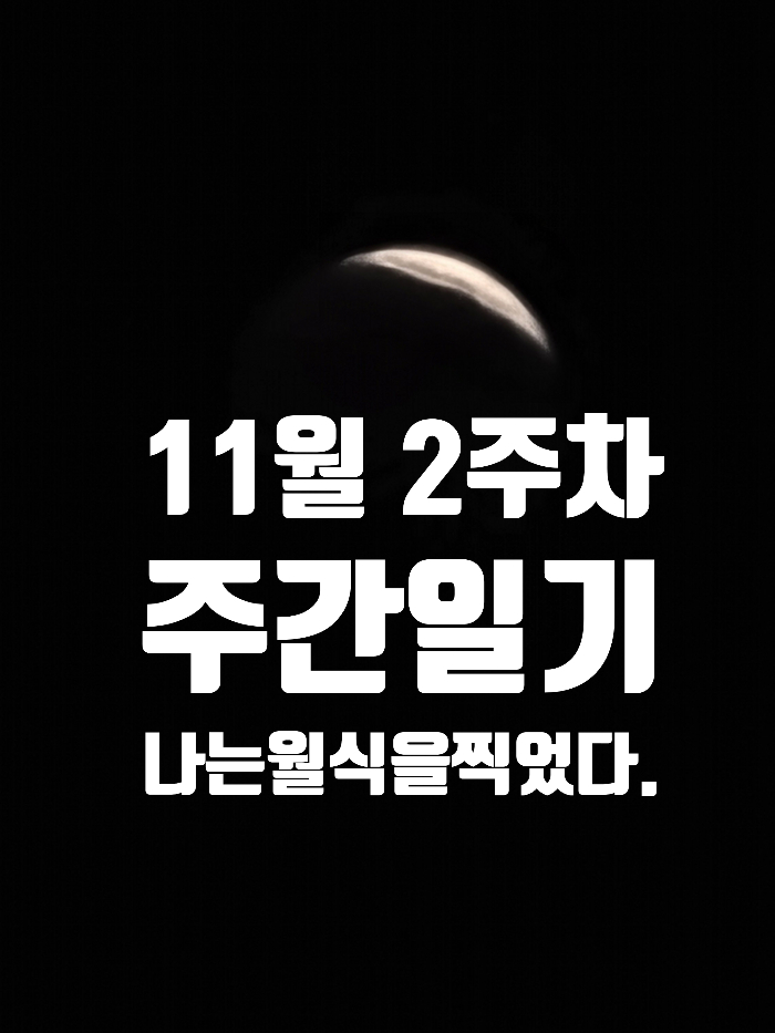  11월 2주차 주간일기 한주동안 수고했다.