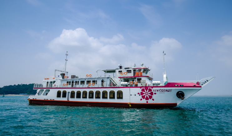  Wolmido Island Cruise Ship