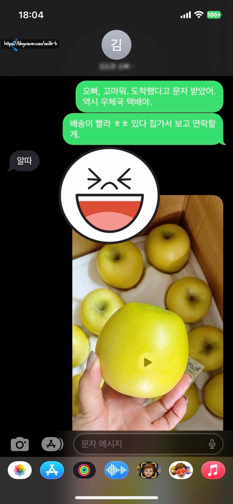  오빠와 사과_아삭아삭 청송사과 선물로 받다.
