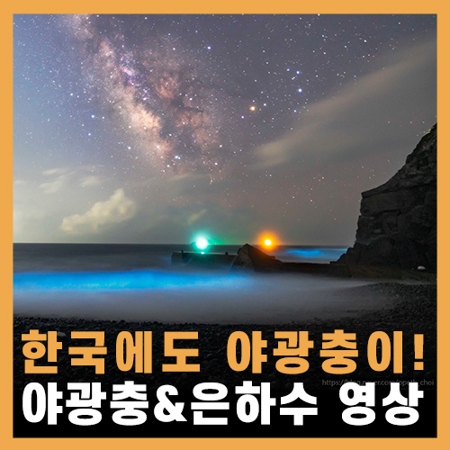  한국에도 야광충이 있다...?!! 빛나는 바다와 은하수 타임랩스