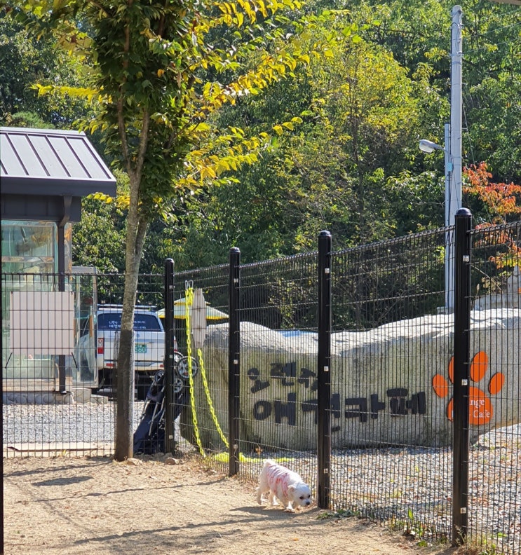  [산책일기]상주 오렌지애견카페로 산책가자!!