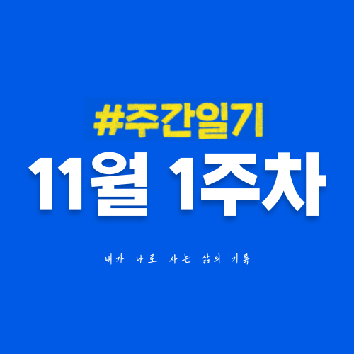  11월 1주차 | 유튜브 구독자 1,000명 달성과 외부 활동이 많은 한 주