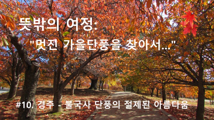 #10. 경주 - 불국사 단풍의 절제된 아름다움 #10. 경주 - 불국사 단풍의 절제된 아름다움