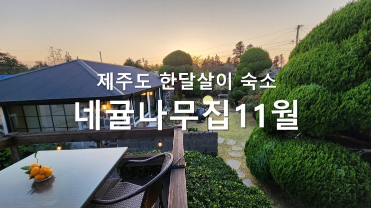 제주도 한달살이 숙소 - 네귤나무집의 11월