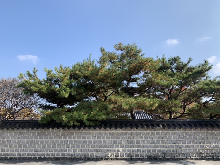  11월 2주차 일상 :: 전주 대전 여행, 고등학교 친구들 만나기