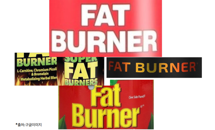 다이어트 보조 식품, 지방 연소제(FAT-BURNER) 효과는?