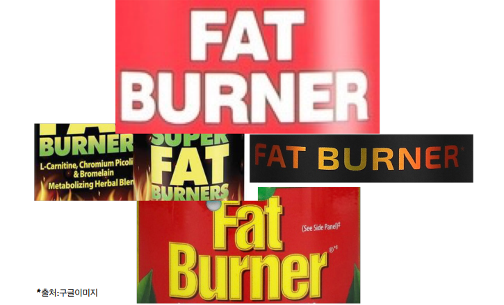 다이어트 보조 식품, 지방 연소제(FAT-BURNER) 효과는?