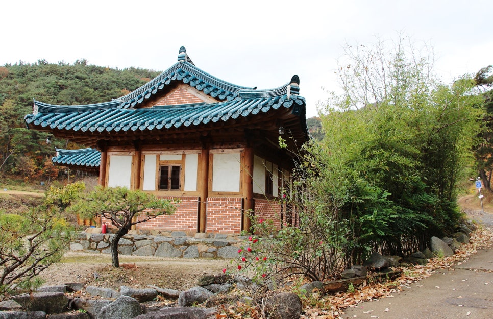 횟골 사진 6