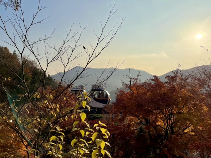  가을휴가 일기️_화담숲, 경복궁 야간개장, 더현대, 대구 etc