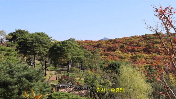 감사 - 손경민 감사 - 손경민