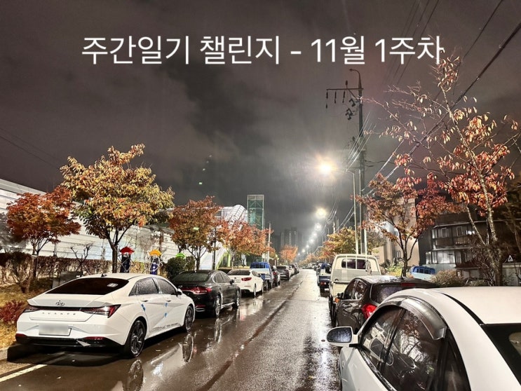  지는 낙엽과 추워지는 날씨.