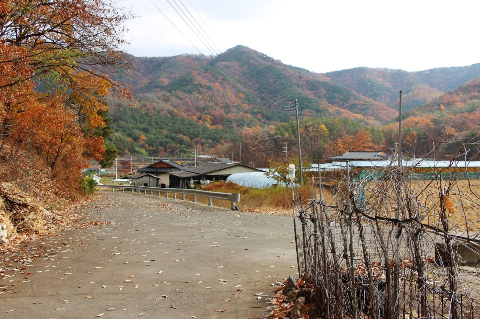 횟골 사진 4
