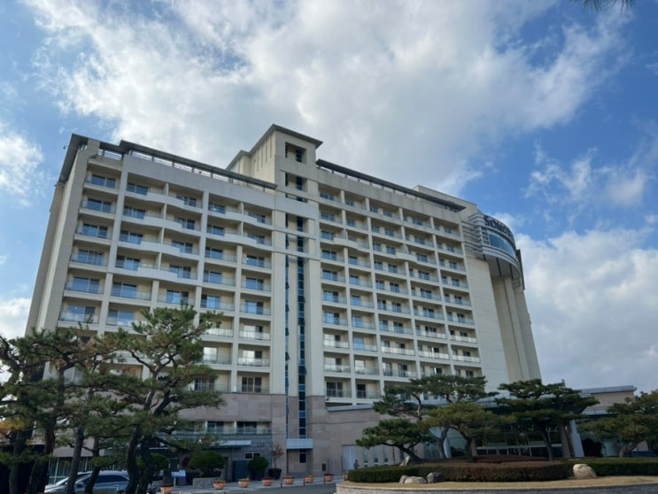  경주숙소 소노벨 경주(구 대명리조트) 패밀리(취사) 2박 후기