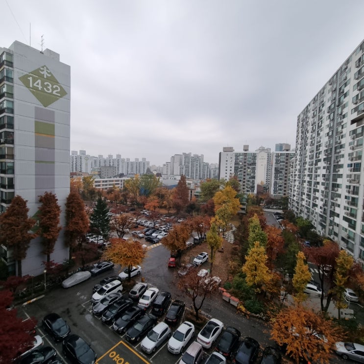  비 오는 날 목동 14단지 아파트 임장하기_임장기록