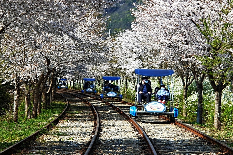  Try riding a rail bike in KOREA
