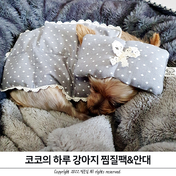코코의하루 방이를 따끈하게 해주는 강아지찜질팩 코코의하루 방이를 따끈하게 해주는 강아지찜질팩